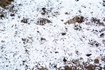 background texture earth green gray