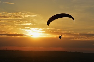 Paraglider