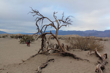 hiking in the desert