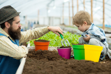 planting together. father and son planting together in greenhouse. happy family planting together. planting flowers together in graden orangery. taking good care of plants.