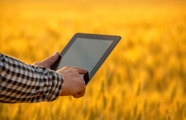 Businessman is on a field of ripe wheat and is holding a Tablet computer. The concept of the...
