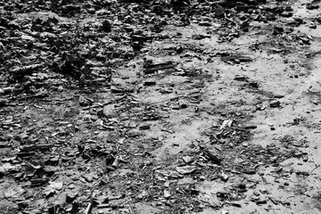 Monochrome dark background with dry leaves on the road
