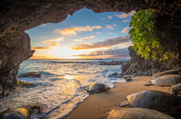 Turtles in a Cave
