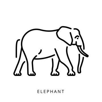 Elephant outline logo minimalistic logo, simple vector illustration of the elephant.