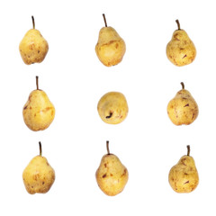 Pears isolated on white collection
