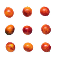Bloody oranges isolated on white collection