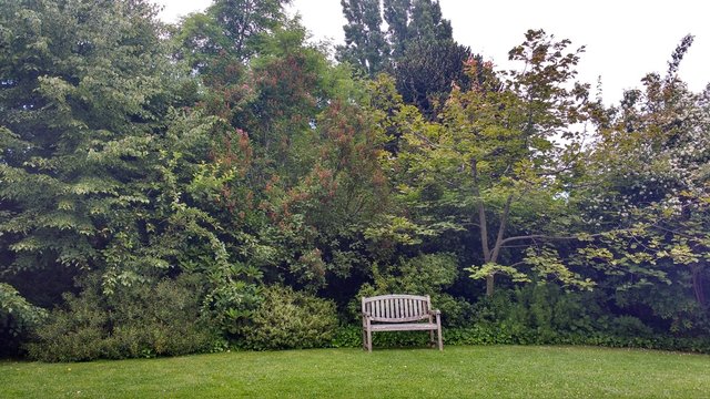 Naturaleza