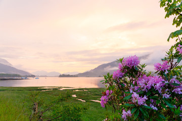 beautiful mystic sunset at glencoe and loch leven with flowers