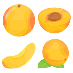 Apricot icons set. Isometric set of apricot vector icons for web design isolated on white background