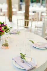 table setting,and flower compositions