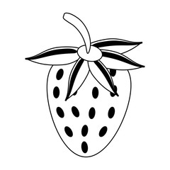 Strawberry fruit fresh food in black and white