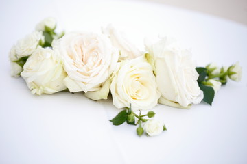rose bianche