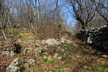 Wanderweg im Frühling auf der kroatischen Insel Krk