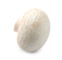 Fototapeta na wymiar Fresh raw champignon mushroom on white background