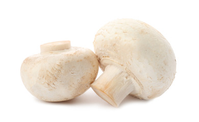 Fresh raw champignon mushrooms on white background
