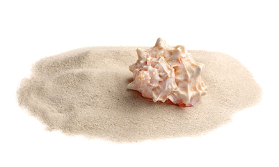 Obraz na płótnie Canvas Pile of beach sand with sea shell isolated on white
