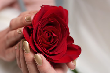 Woman with gold manicure holding rose on blurred background, closeup. Nail polish trends