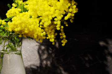 A branch of yellow flowers of mimosa in a glass vase on a black background.
