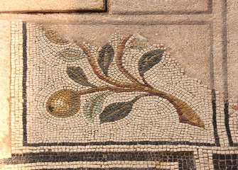 ramo con frutti; mosaico pavimentale romano; area archeologica delle Domus dell'Ortaglia, Brescia