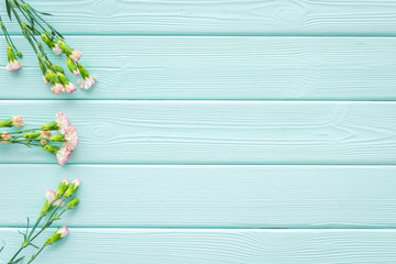 Pink carnation border. blue turquoise wooden background top view space for text