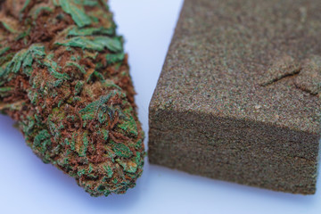Medical Cannabis with THC and Medical  CBD Hashish on white background - macro view.