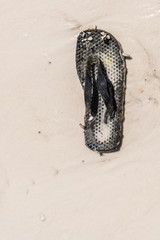 Old thong or flip flop on beach