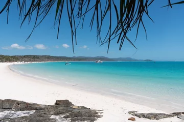 Crédence de cuisine en verre imprimé Whitehaven Beach, île de Whitsundays, Australie Whitehaven Beach, île Hamilton, Australie