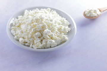 Cottage cheese on white plate with wooden spoon. Cottage cheese on white background. Soft cheese for diet. Healthy dairy product for breakfast