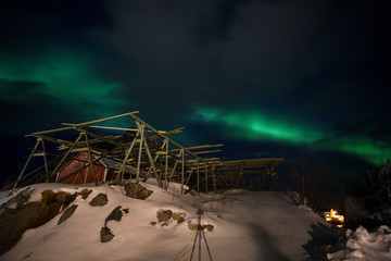 beautiful northern lights