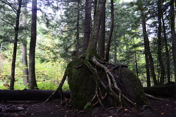 Backpacking, Wilderness, roadtrip, Hiking, Michigan, Porcupine Mountains, Rivers