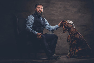 Bearded hunter wearing elegant clothes sitting on a sofa with his two purebred Setter dogs. Studio...