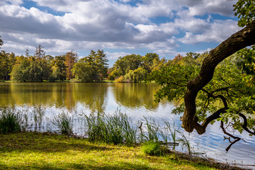 Lake and trees in Lednice castle park