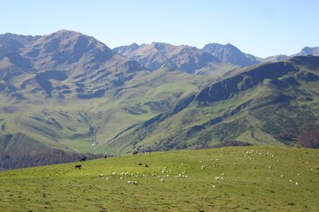 Fototapeta na wymiar Hautes Pyrénées Plo del Naou-1