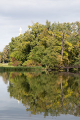 Obraz premium Lake and trees in Lednice castle park