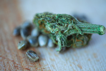 Medical Cannabis and  Marijuana Seeds on the fresh piece of oak wood - macro view.