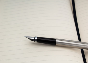 Silver fountain pen on blank paper.