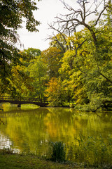 Fototapeta na wymiar Lake and trees in Lednice castle park