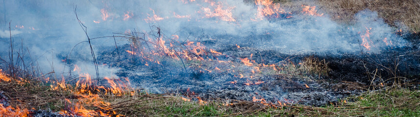 Burning grass on the field in village. Burning dry grass in fields. Wild fire due to hot windy...