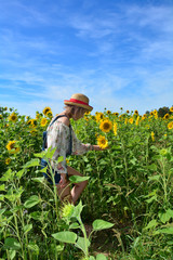 Mädchen pflückt in einem Feld eine große Sonnenblume