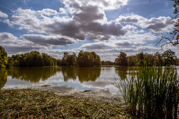 Lake and trees in Lednice castle park