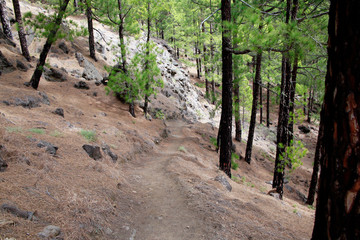 Wanderung vom Aussichtspunkt Cumbrecita- Taburiente Nationalpark