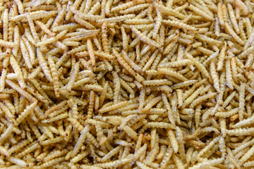 Fried or bake bamboo worm, pupae in Bamboo, eating insect culture as snack  in Thailand. Background pile of cook bamboo worm. 