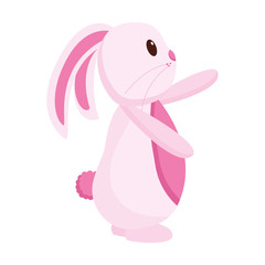 cute rabbit cartoon