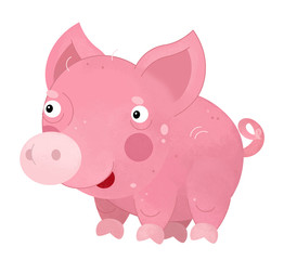 cartoon scene with pig on white background - illustration for children