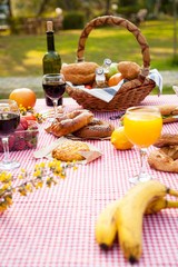 Picnic at the park on the grass: tablecloth, basket, healthy food and accessories, top view