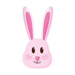 cute rabbit face