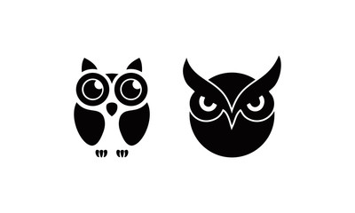 elegant owl vector