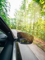 Vertical image of new modern car driving fast into forest with tall trees and empty mountain...