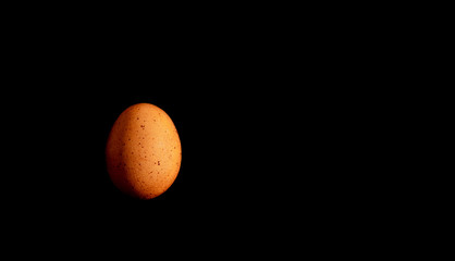 Chicken egg on back background.