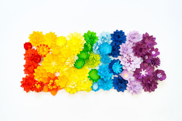 Paper craft flower rainbow color. Tolerance of people.